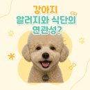 유레카모멘트 | [강아지 알레르기와 식단] 강아지 알레르기, '식단'이 영향을 미친다? (feat. 한의원 방문기)