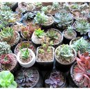 하나 둘 셋 넷 이미지