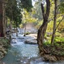 계림산업(주) | 라오스