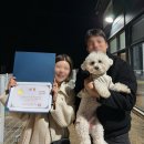 퍼스트 독 스쿨 이미지