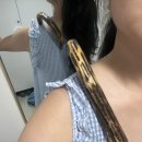 셀프 건강마사지(이론) | 홈케어 셀프 마사지 워커앤트 나무갈고리 어깨안마기 후기