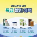 올리브데이 네이버블로그