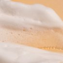 샴푸하는 강아지 이미지