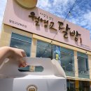 월영교달빵