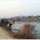 서산보트
