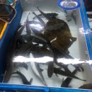 서생상회 이미지