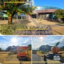 신효동-18 | 제주도 서귀포 감귤박물관 감귤 따기 체험 가볼만한곳