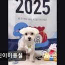 개린이미용실 이미지