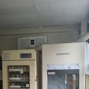 은평중학교 이미지