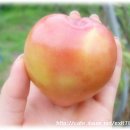 유구농장 이미지