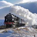 멋진인생 이미지