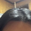 레몬헤어 | 정수리냄새 말끔해결 헤어데오리프레셔 그래시레몬 사용후기