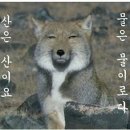 업라이트컨설팅
