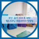 월드크리닝 해운대지사 이미지