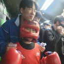 브리드 복싱GYM 이미지