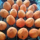 도양카센타 이미지