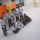 세종의 아침 태권도 이미지