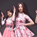 연우