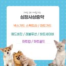 굿모닝사랑약국 이미지