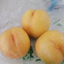 황금천 | 중국의 6월 제철과일 : 수박, 양메이, 리치.. 和복숭아