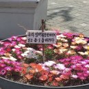 이디치과의원 | 김두팔의 7월[일상블로그]우연히 갑자기 행복해지세요.