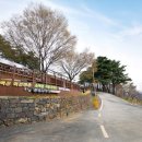 소백산자연휴양림 이미지