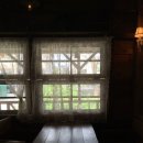 비바진도카페(cafe) | 파주 또 가고싶은 카페 모음1