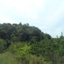 사봉면-6 이미지