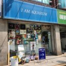 아이엠아쿠아리움 | 평택수족관 아이엠 아쿠아리움 비전동수족관