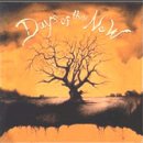 뉴데이즈(New days)