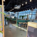 큐리오시티 | 부산 기장 용궁해물칼국수 동부산롯데아울렛 점심 추천, 이케아 점심 추천