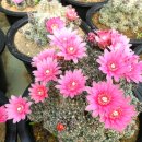 선산농장 이미지