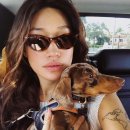 리네뜨안경 이미지