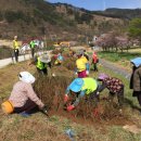 상동체육공원 이미지