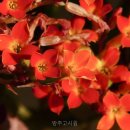 방주고시원 | 방주고시원 이곳이 진짜 괜찮을까? 직접 가봤어요