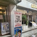 소나무언덕 네이버블로그