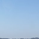 태안 알로하오에 애견풀빌라 이미지