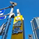 양평군청 본관1층 | 경기도 양평여행 '양평5일장' 물맑은 시장 방문 후기 - 주차정보