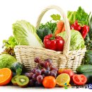 토마토요양병원 이미지