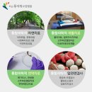 화순무지개요양병원 티스토리