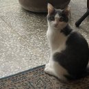 락오브피스