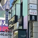우리동물병원 | 24시 청담우리동물병원 슬개골 허리디스크 강아지 건강검진 및 레이저 재활 후기