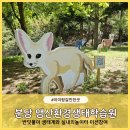 숲안어린이공원 | 아이랑 갈만한곳 분당 숲체험 맹산환경생태학습원 어린이 체험미션 생태놀이터