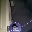 사인엘 이미지