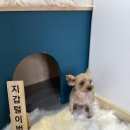 환해지개 이미지