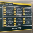 원두네 멍냥백서 이미지