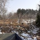 여주-0996 이미지