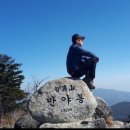 산사랑 - 울진군 | 산사랑