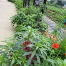 성진바이오 주식회사 이미지