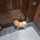 더웰샘한방병원 | 🌷 임신 19주차, 양수 샘 증상으로 입원했던 일산차병원 고위험임산부 집중치료실[MFICU] 후기